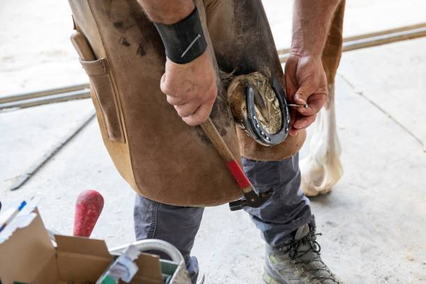 s'installer comme maréchal-ferrant équipement atelier