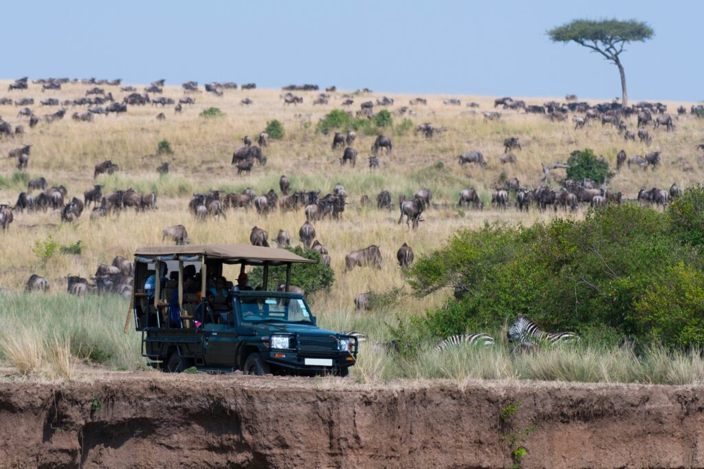 safaris au Kenya