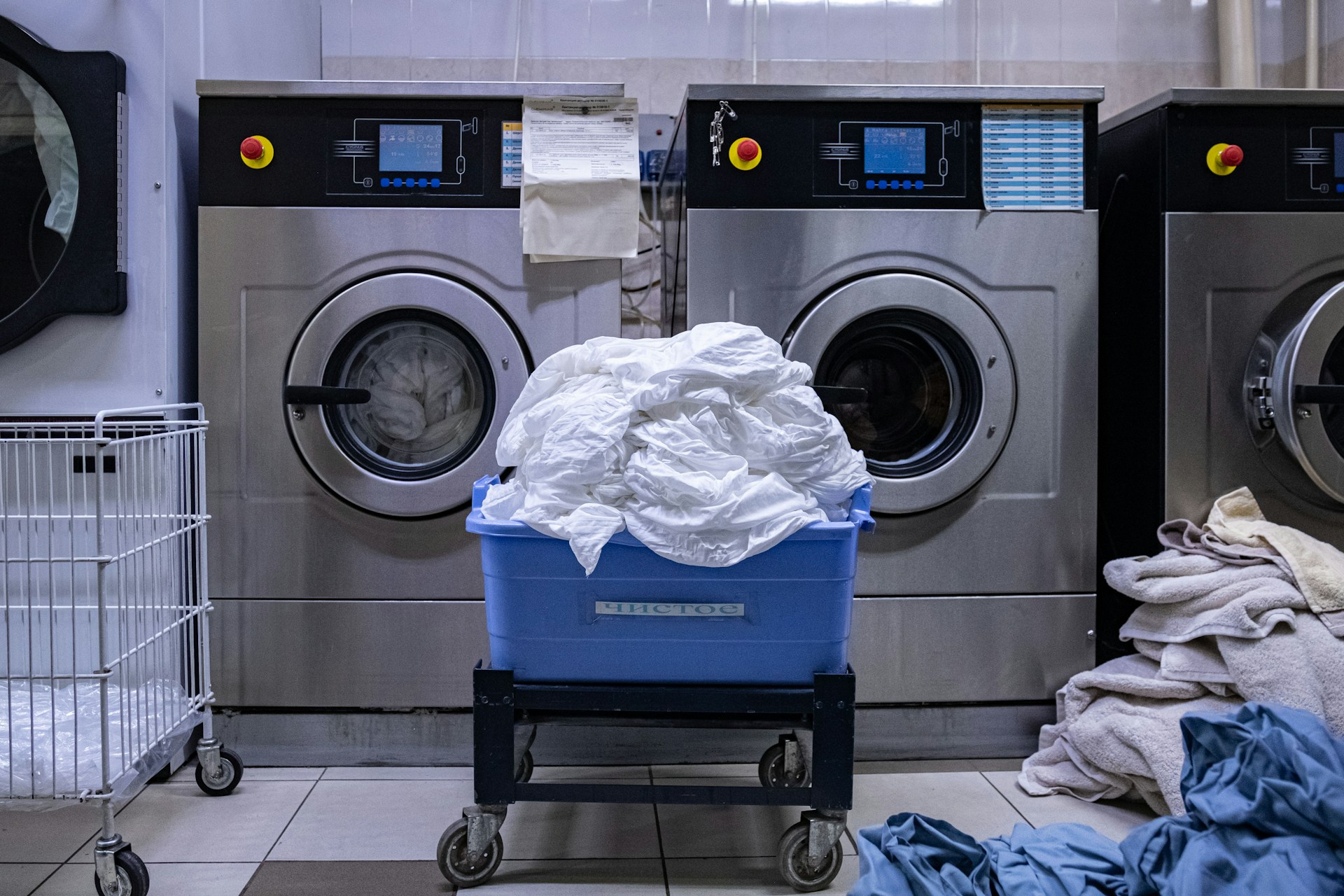 Linge Polissant OR main image 1